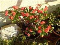 f4b405a7-Picture 3275.jpg